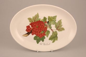 Sell Portmeirion Pomona - Older Backstamps Oval Plate The Red Currant 10 3/4"