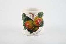 Portmeirion Pomona - Older Backstamps Storage Jar + Lid The Teinton squash pear - wooden lid 2 3/8" x 2 5/8" thumb 2