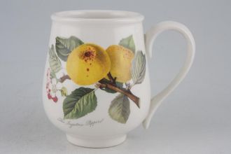 Sell Portmeirion Pomona - Older Backstamps Coffee Cup The Ingestrie Pippin - Apple 2 1/8" x 3 1/8"