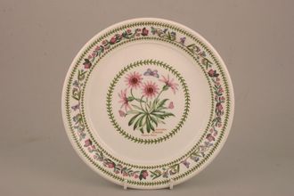 Portmeirion Variations - Botanic Garden Salad/Dessert Plate Gazania Ringens - Treasure Flower 8 1/2"
