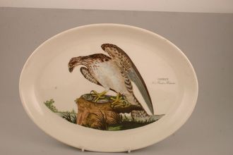 Sell Portmeirion Birds of Britain - Backstamp 2 - Green and Orange Oval Platter Osprey 12 3/4"