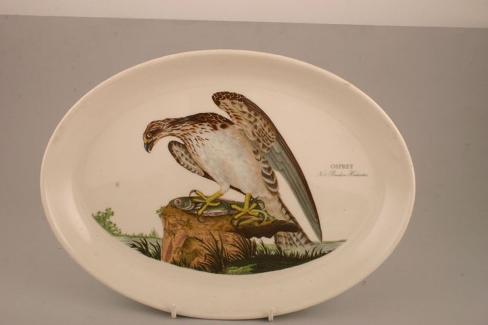 Portmeirion Birds of Britain - Backstamp 2 - Green and Orange Oval Platter Osprey 12 3/4"