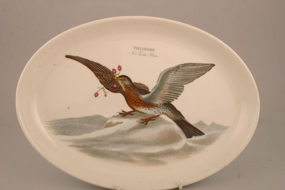 Portmeirion Birds of Britain - Backstamp 2 - Green and Orange Oval Platter Fieldfare 12 3/4"