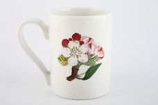Portmeirion Pomona - Older Backstamps Mug Straight Sided - The Red Currant 3 1/8" x 4" thumb 2