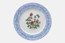 Royal Worcester Herb Garden Dinner Plate Wild Thyme - Blue Borders 10 5/8" thumb 1