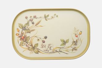 Marks & Spencer Harvest Serving Tray Thick brown border amd brown trim 17 1/2" x 11 1/2"