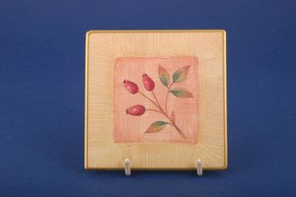 Sell Marks & Spencer Wild Fruits Coaster Rosehip in a square 4"