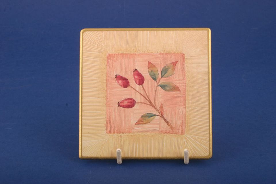 Marks & Spencer Wild Fruits Coaster Rosehip in a square 4"