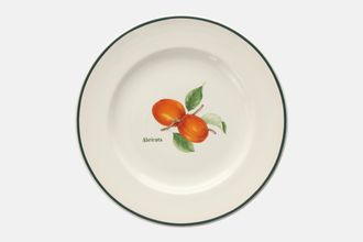 Sell Habitat Jardin de France Dinner Plate Apricot 10"