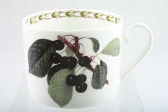Sell Queens Hookers Fruit Teacup Straight sided - Black Cherries 3" x 2 3/8"
