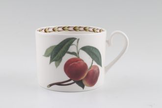 Queens Hookers Fruit Teacup Straight sided - Peach 3" x 2 3/8"