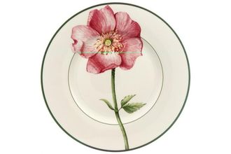 Sell Villeroy & Boch Flora Salad/Dessert Plate Eglantine 8 1/2"