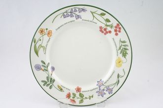 Sell Johnson Brothers Wild Flowers Dinner Plate 10 1/4"