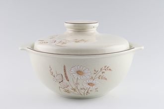 Royal Doulton Norfolk - L.S.1050 Vegetable Tureen with Lid Plain Edge.Lugged