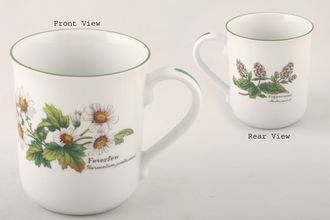 Sell Royal Worcester Worcester Herbs Mug Feverfew, Peppermint 3 1/4" x 3 5/8"