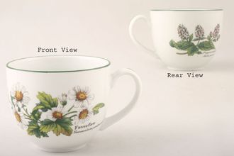 Royal Worcester Worcester Herbs Teacup Feverfew, Peppermint 3 1/4" x 2 7/8"