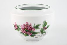 Royal Worcester Worcester Herbs Sugar Bowl - Lidded (Tea) Made in England thumb 2