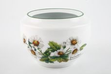 Royal Worcester Worcester Herbs Sugar Bowl - Lidded (Tea) Made in England thumb 3