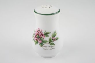 Sell Royal Worcester Worcester Herbs Pepper Pot 9 hole squat