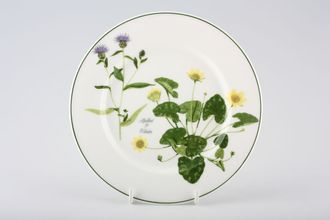 Sell Portmeirion Welsh Wild Flowers Tea / Side Plate Hardhead & Celandine 7 1/8"