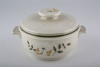 Sell Royal Doulton Will O' The Wisp - Thick Line - L.S.1023 Lidded Soup Lugged - Lid sits outside Rim