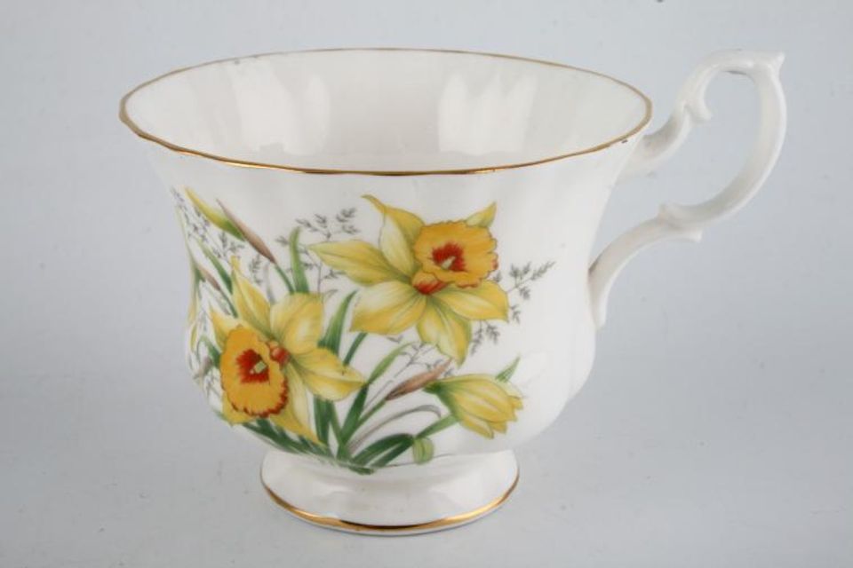 Royal Albert Daffodil Teacup 3 1/2" x 2 3/4"