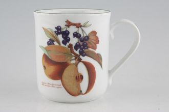 Sell Royal Worcester Evesham Vale Mug Cut Apple and blackcurrant 3" x 3 5/8"