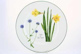Sell Portmeirion Welsh Wild Flowers Dinner Plate Scabious & Tenby daffodil 10 3/4"