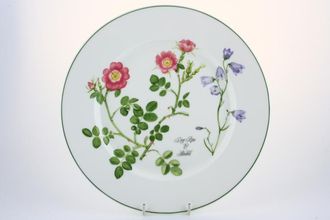 Sell Portmeirion Welsh Wild Flowers Dinner Plate Dog Rose & Harebell 10 3/4"