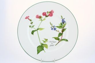 Portmeirion Welsh Wild Flowers Dinner Plate Pink Campion & Speedwell 10 3/4"