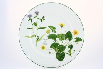 Sell Portmeirion Welsh Wild Flowers Dinner Plate Hardhead & Celandine 10 3/4"