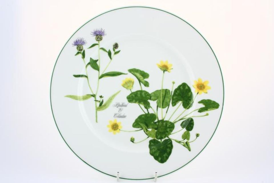 Portmeirion Welsh Wild Flowers Dinner Plate Hardhead & Celandine 10 3/4"