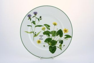 Sell Portmeirion Welsh Wild Flowers Salad/Dessert Plate Hardhead & Celandine 8 1/2"