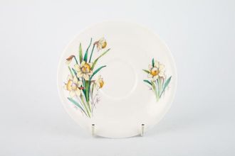 Royal Albert Flower of the Month Series - No Gold Tea Saucer March - Daffodil 5 1/2"