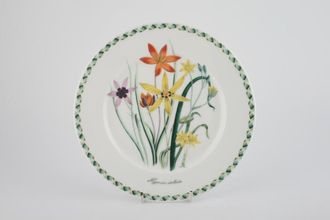 Portmeirion Ladies Flower Garden Salad/Dessert Plate Hypoxis Stellata - Backstamps Vary 8 1/2"