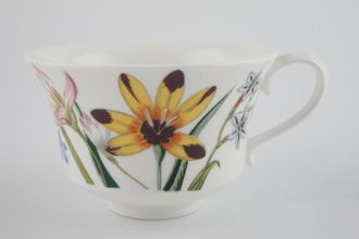 Sell Portmeirion Ladies Flower Garden Teacup Flared Shape LFG 4 - Backstamps Vary 4" x 2 1/2"