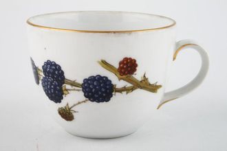 Royal Worcester Wild Harvest - Gold Rim Teacup Blackberry and Rosehip 3 1/4" x 2 1/2"