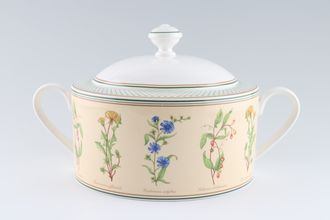 Sell Villeroy & Boch Eden Vegetable Tureen with Lid