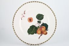 Queens Hookers Fruit Dinner Plate Apricot - sizes may vary slightly 11" thumb 2