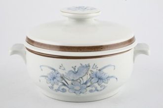 Sell Royal Doulton Inspiration - L.S.1016 Lidded Soup Lugged