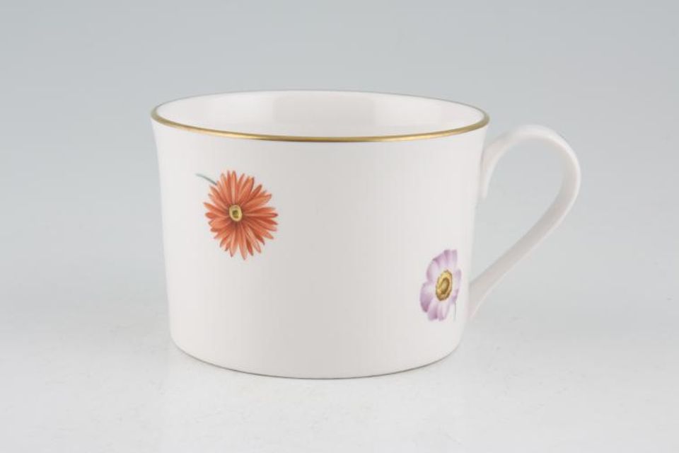 Spode Astor - Y8632 Teacup Straight Sided 3 1/2" x 2 3/8"
