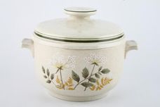 Royal Doulton Will O' The Wisp - Thick Line - L.S.1023 Casserole Dish + Lid Tall - Lugged 2pt thumb 1