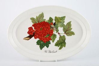 Sell Portmeirion Pomona - Older Backstamps Oval Plate The red Currant 11"