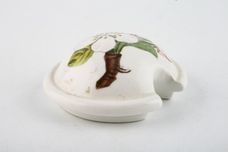 Portmeirion Pomona - Older Backstamps Mustard Pot + Lid Various Fruits - With wooden spoon 2 1/2" thumb 3