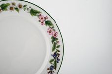 Royal Worcester Worcester Herbs Dinner Plate No Pattern in Centre 10 1/8" thumb 2
