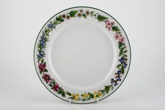 Royal Worcester Worcester Herbs Dinner Plate No Pattern in Centre 10 1/8"
