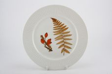 Royal Worcester Wild Harvest - Ribbed Dinner Plate 9 3/4" thumb 1