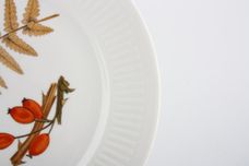 Royal Worcester Wild Harvest - Ribbed Dinner Plate 9 3/4" thumb 2