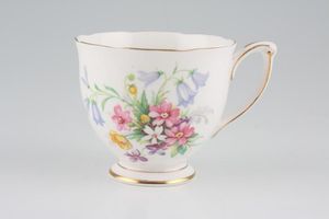 Queen Anne Old Country Spray Teacup