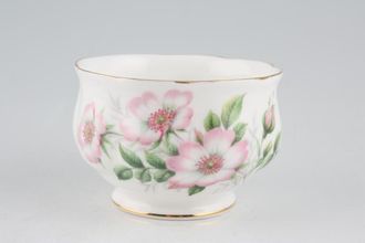 Sell Royal Albert Wild Rose - Friendship Series Sugar Bowl - Open (Coffee) 3 1/8"